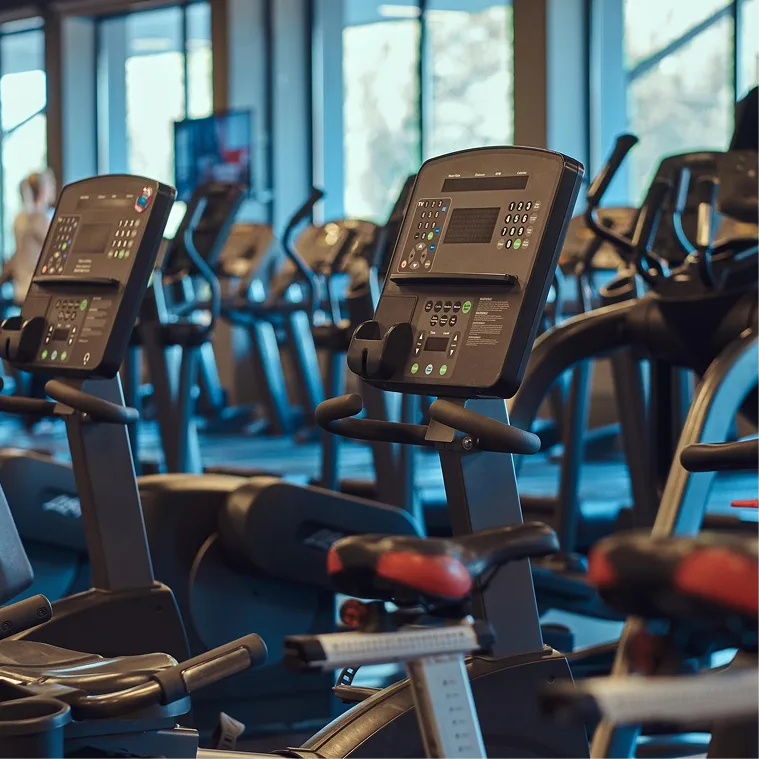 Health, Wellness & Recreation
