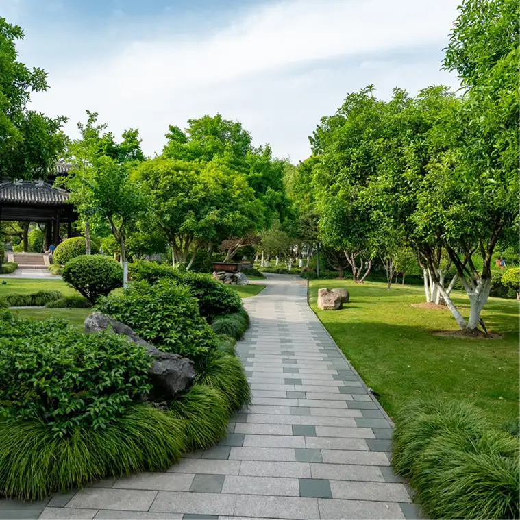 Green & Outdoor Living